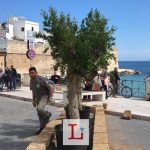 Portavecchia parte la riqualificazione 1