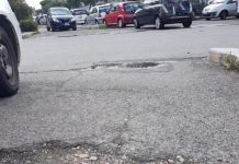 Topo morto in via Baione