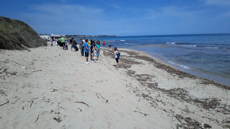 Domenica di pulizia sulle spiagge del litorale sud 4