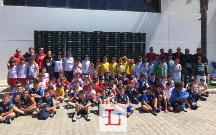 Pomodorini a canestro - lo sport è una festa