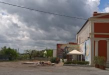 FOTO | Gorgofreddo: via i pini, ma nessuna colata di cemento