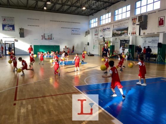 basket1