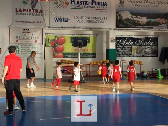 basket2