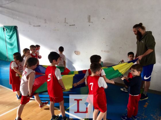 basket4