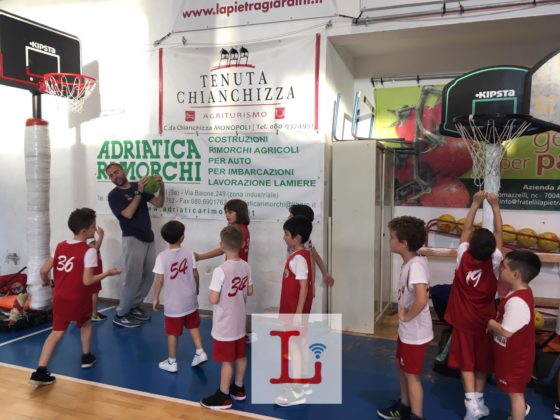 basket7