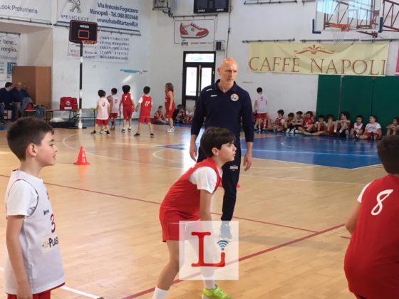 basket8