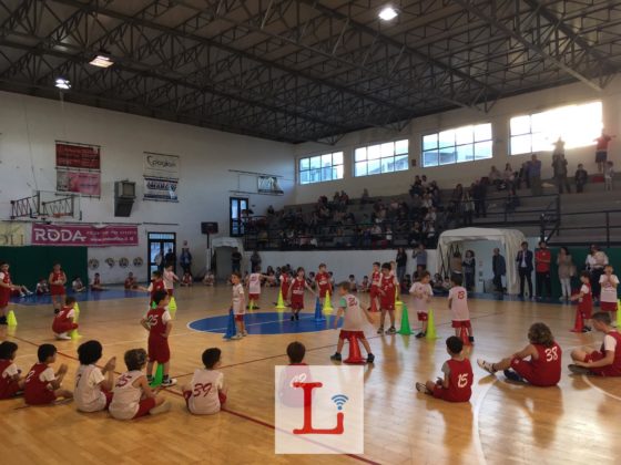 basket9