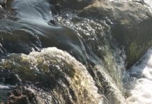 Depuratore, i liquami finiscono in mare