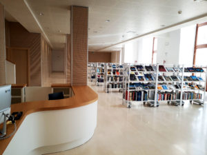 Biblioteca Rendella 1