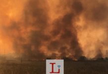 VIDEO E FOTO | Un grosso incendio a Cala Incina. La nube di fumo nero invade Monopoli