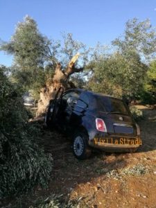 incid monop castellana2