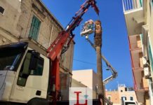 Via Lapezzaia, addio alla palma simbolo del quartiere