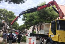 Via Veneto, cade un pino sull’auto dei turisti