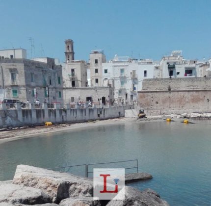 portavecchia 1