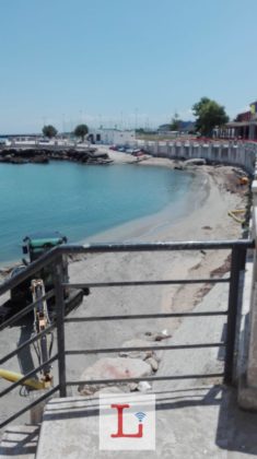 portavecchia 4