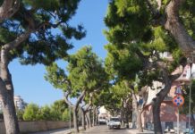 Via Trieste, partiti i lavori di messa in sicurezza della strada