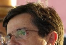 Piano Casa, Papio ai leghisti: “Torniamo in aula per una nuova delibera”