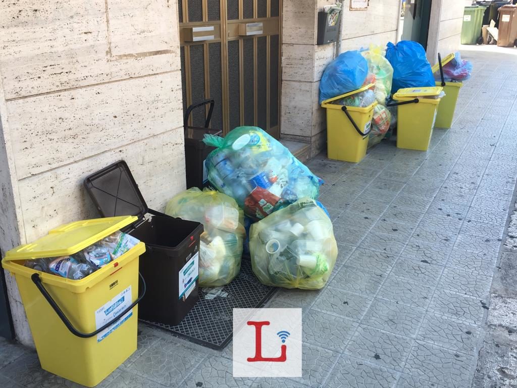 bidoni rifiuti