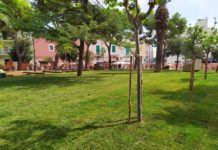 Piazza Sant’Antonio, prima il prato poi a settembre la riconsegna alla città