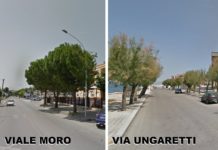 Lavori Pubblici, riqualificazione delle alberature urbane e dei parcheggi