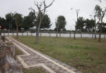Ripulita la Dog Area di via San Marco, nuovamente fruibile la zona