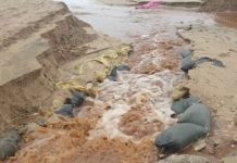 VIDEO & FOTO | Il Capitolo sott’acqua. Litoranea riaperta in mattinata