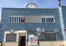 Monopoli, ritrovato falchetto ferito, Legambiente: “No alla caccia libera”