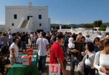 FOTO | Giornate FAI, mille visitatori al frantoio ipogeo di Masseria Mammella