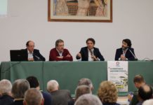 Xylella, l’infezione avanza. Amati: “Ci si salva eradicando gli ulivi malati”