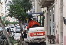 Piantati alberi e ciclamini, un tocco di colore per le vie della cittÃ