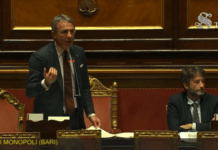 VIDEO | Cattivi odori in città , interrogazione al Senato. Il Ministro Costa risponde