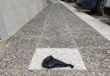Deiezioni canine, slalom tra le strade per scansarle