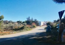Non riesce a prendere il pullman e non frequenta la scuola. L’appello della madre