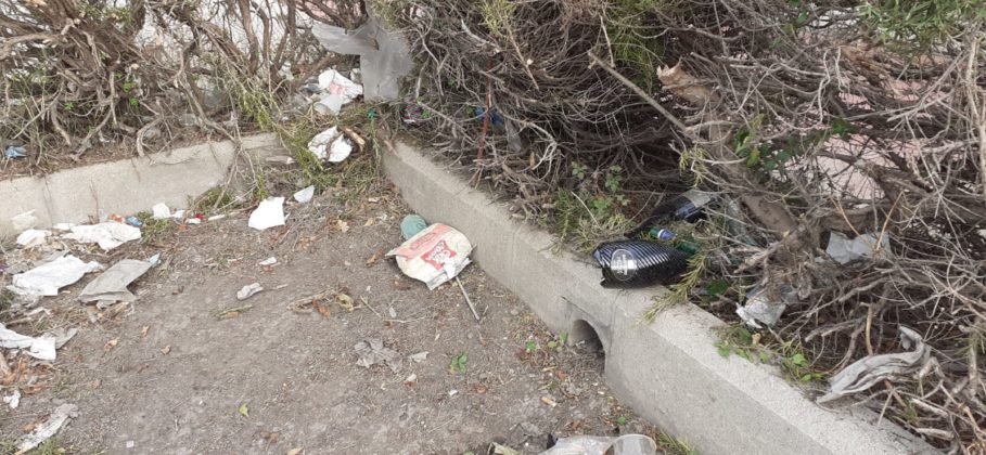 via procaccia4