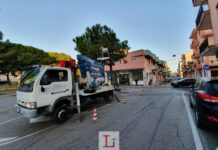Monopoli, manutenzione del verde. L’ordinanza di Cassano: modifiche alla circolazione e alla sosta dal 25 ottobre al 31 marzo