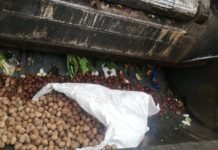 La truffa delle castagne e delle noci. Le vendeva a buon prezzo, ma erano tutte marce