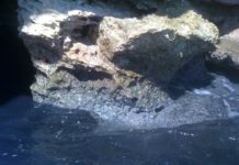 Sversamenti in contrada Corvino, il mare torna ad essere nero