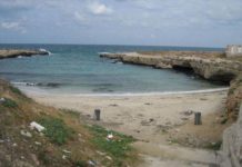 Dalle piazze alle cale, le sardine domani puliscono la zona nord