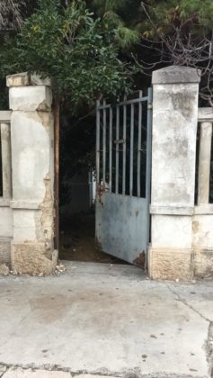 cementeria 5
