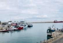 Porto di Monopoli, Lacatena (FI): “Troppe promesse disattese dall’Autorità Portuale. Ora basta”