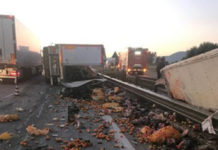 Camion si ribalta sulla Statale 16, carreggiata invasa da frutta e verdura