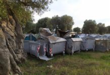Il cimitero dei cassonetti tra gli ulivi secolari, sequestrata l’area