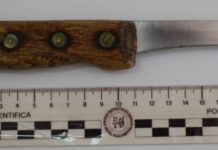 Minaccia i poliziotti con un coltello, donna portata in psichiatria