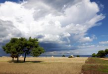 Parco di Costa Ripagnola, domani un abbraccio di 3 Km per proteggere quella bellezza