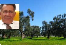 Leggiero: “Il mondo agricolo è sempre più debole, molte aziende chiudono”