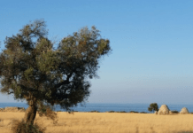 Costa Ripagnola, camere di albergo nei trulletti? Legambiente pronta a tutelare l’area