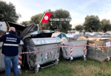 Ulivi e discarica, la Cazzorla vuole saperne di più. Già pronta un’interrogazione