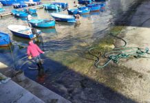 Sversamento al porto, tra i gozzi il mare diventa giallo