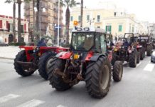 Agricoltori senza carburante. Martellotta: “Scaduto il contratto del dipendente che se ne stava occupando”