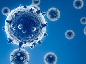 coronavirus 1 e1585936879711